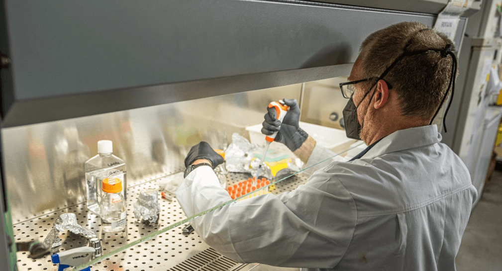 Scientist pipetting samples in a biosafety cabinet