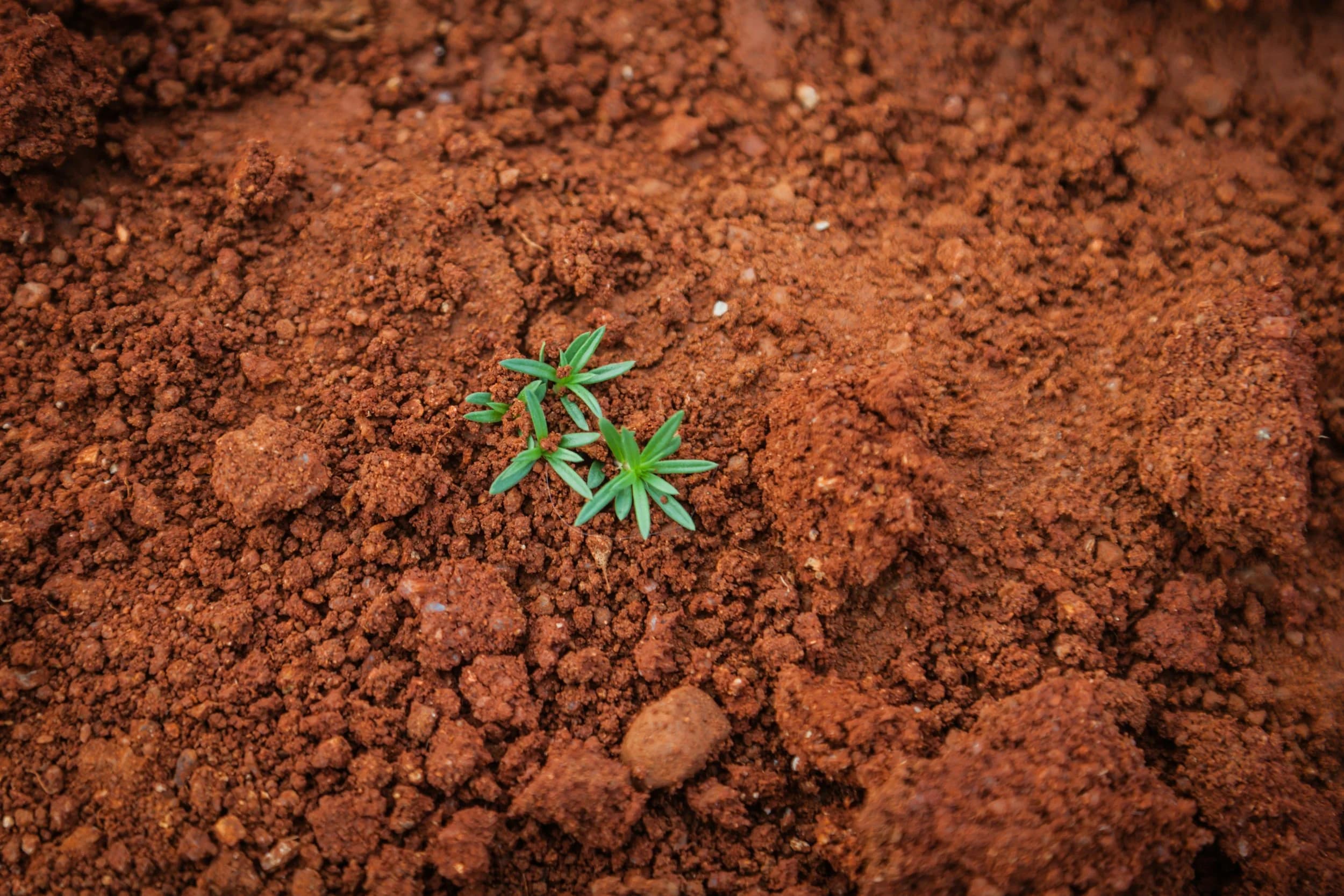 Ground