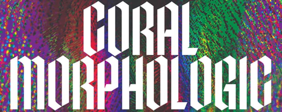 Coral Morphologic