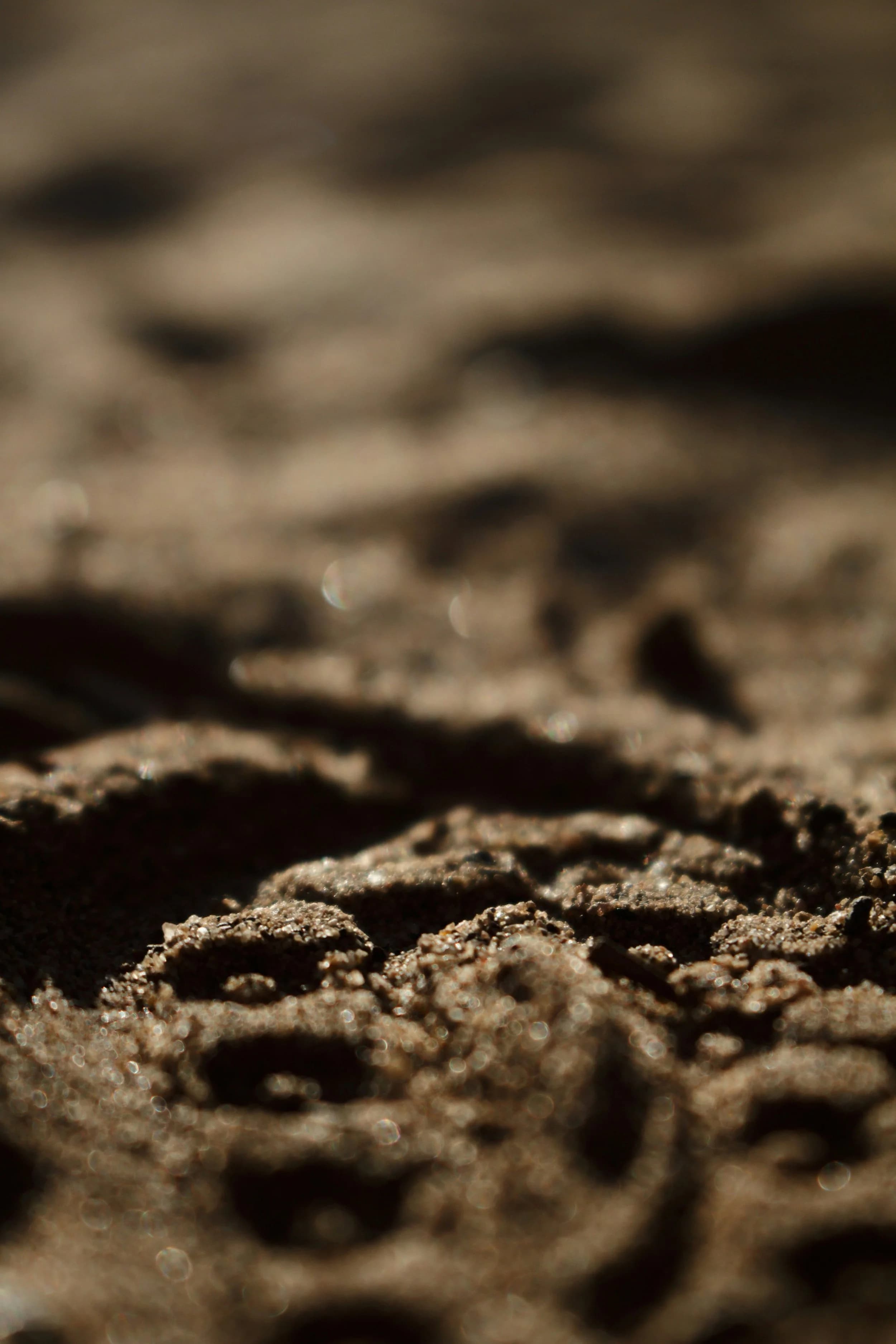 Soil landscape